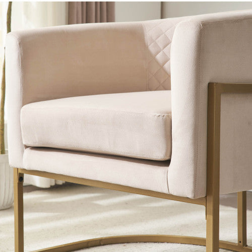 Dimakai Modern Black Velvet Accent Chair