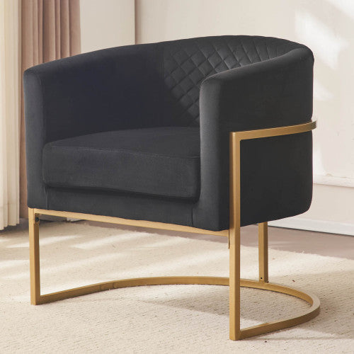 Dimakai Modern Black Velvet Accent Chair