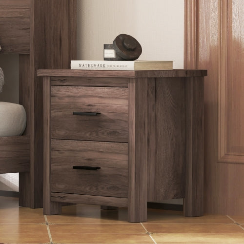 Dimakai Walnut 2 -Drawer 19.1-in W x 21.3-in H Midcentury Nightstand