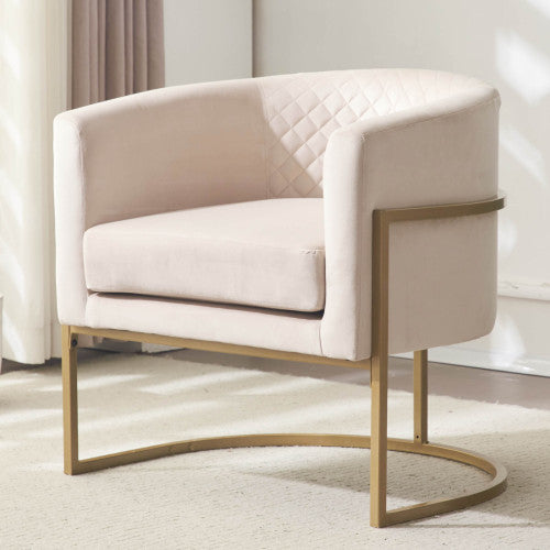 Dimakai Modern Black Velvet Accent Chair